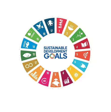 UN Sustainability Goals